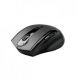 A4TECH G10 810FL LaserPointer/TutorPen Wireless Mouse